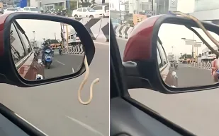 رحلة عادية تتحوّل إلى حادثة مرعبة في الهند.. شاهد ماذا حدث (فيديو)