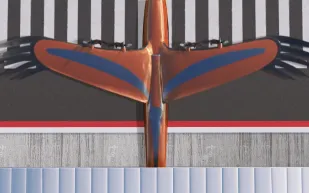 إيرباص تعرض طائرة تشبه المخلوقات الجوية في الطبيعة (فيديو)