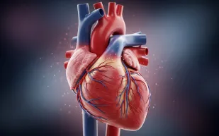 من الخلايا الميتة إلى قلب نابض.. اكتشاف علمي يغيّر مصير الطب