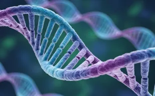 قد يحمل مفتاح إطالة عمر الإنسان.. اكتشاف بروتين من الحيتان يمنح البشر حياة أطول