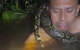  لحظة مروّعة.. أفعى عملاقة تلتف حول رقبة مرشد سياحي في إندونيسيا (فيديو)