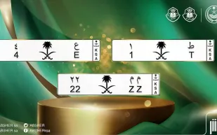  المرور يحدد رسوم وخطوات استخراج لوحة مركبة بشعار مميز