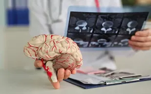 هل أصبح فك شفرة الدماغ البشري واقعًا؟