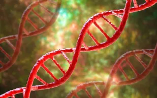 الكشف عن دواء جديد يحمي كلى مرضى السكري ويحد من الأضرار المزمنة