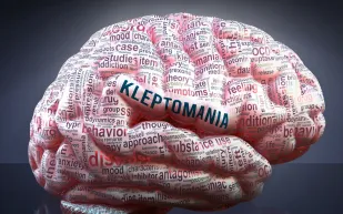  خريطة الدماغ الأكثر تفصيلاً.. 10 ملايين خلية عصبية في محاكاة مذهلة (فيديو)