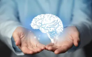 دراسة كورية تكشف دور الأمعاء في أمراض القلب وتفتح آفاقًا للوقاية