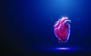 المايسترو الخفي: كيف يتحكّم المغنيسيوم في إيقاع قلبك؟