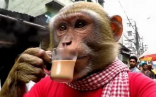 فيديوهات AI Slop تحقق أرباحًا خيالية.. هل فقدت يوتيوب الإبداع البشري؟