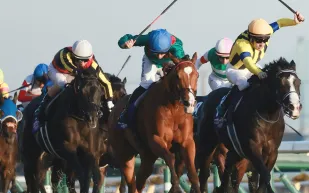 لحظة صادمة.. سقوط فارس على بُعد سنتيمترات من خط الفوز بعد اصطدام مفاجئ (فيديو)