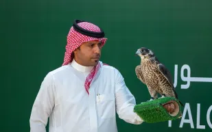 كأس نادي الصقور 2025 يتوَّج أبطال النخبة في أجواء تنافسية بالخبر