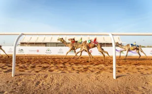 بجوائز تفوق 10 ملايين ريال .. انطلاق النسخة الخامسة لبطولة كأس وزارة الرياضة للهجن