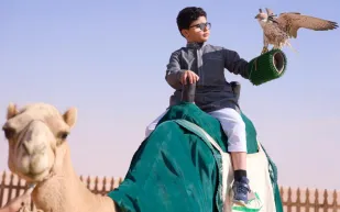 أرقام قياسية وحضور لافت.. جناح "الاتحاد السعودي للهجن" يخطف الأضواء في الباحة (فيديو)