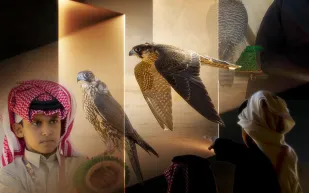 تعرف على موعد انطلاق مهرجان الملك عبدالعزيز للصقور 2025 