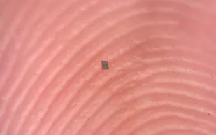 أصغر روبوت قابل للبرمجة في العالم يبدأ عصر الميكرو-روبوتات (فيديو)