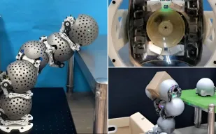 روبوتات مستوحاة من حركة الحلزون.. تفعل كل شيء ذاتيًا (فيديو)