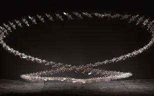 MIT تبتكر روبوت بحجم الحشرة… هل سيغير مستقبل البحث والإنقاذ؟ (فيديو)