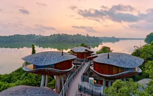 منتجع Mandai Rainforest: تجربة إقامة فاخرة وسط الغابة المطيرة في سنغافورة