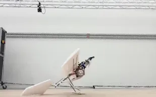 طائرة بدون طيار تمشي وتقفز وتنطلق مثل الطيور (فيديو)