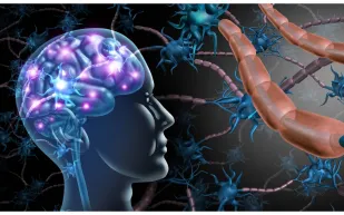 لغز طبي استمر سنوات ينكشف أخيرًا: ما سر الطفرة الجينية القاتلة لخلايا الدماغ؟