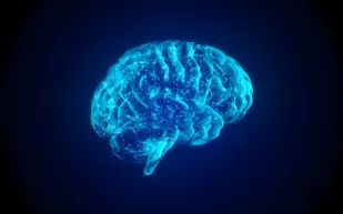 اختراع يتيح للعلماء سماع لغة الدماغ للمرة الأولى