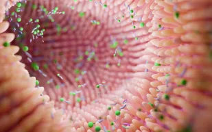 مفاجأة علمية: بكتيريا مقاومة للتعقيم قد تكون رافقت مركبة ناسا إلى المريخ