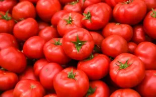 دراسة مبشرة: الطماطم وفواكه حمراء تحمي البروستاتا