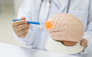 النساء أم الرجال.. من يتعافى أسرع بعد السكتة الدماغية؟ دراسة تجيب