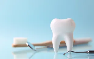 ما علاقة الأسنان بالذاكرة؟ العلم يثبت حقيقة صادمة