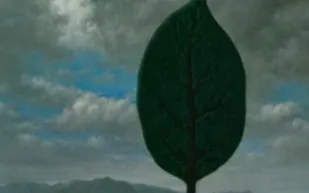 53 مليون دولار على الطاولة.. ما سر مجموعة كريستيز الجديدة؟