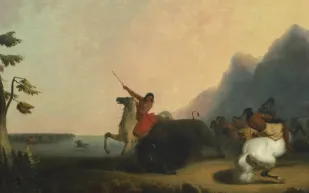 مجموعة ويليام آي. كوك تسجل 84 مليون دولار في مزاد