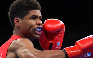 من الأفضل في الملاكمة؟ ستيفنسون يختار اسماً غير متوقع 