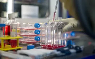 الطباعة ثلاثية الأبعاد داخل الخلايا تفتح آفاق الطب الحيوي.. إليك التفاصيل