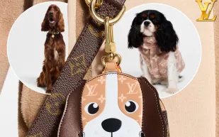 لويس فويتون تدخل عالم الفخامة للحيوانات الأليفة بإكسسوارات مميزة