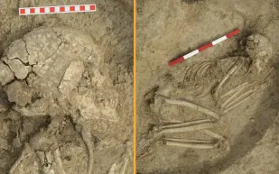 أقدم ناجٍ من هجوم أسد؟ اكتشاف أثري يروي قصة صمود استثنائية