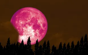 قمر عملاق وزخة شهب.. سماء يناير 2026 على موعد مع الإثارة الكونية