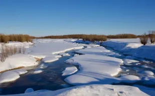 الإنسانية في أبهى صورها: رجل إطفاء ينقذ كلبًا من بحيرة متجمدة (فيديو)