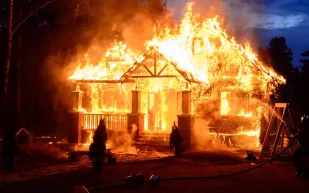 حريق يلتهم قصرًا فاخرًا بسبب مصباح حظيرة دجاج.. كم بلغ حجم الخسائر؟ (فيديو)