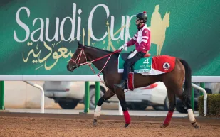  كأس السعودية 2026 يستقطب نخبة الخيول العالمية