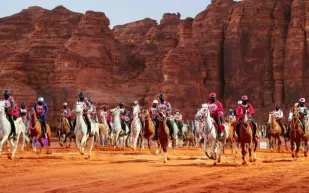 العلا تحتضن النسخة السابعة من بطولة الفرسان وسط إقبال غير مسبوق (فيديو)