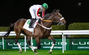 الأمير سلطان بن خالد الفيصل آل سعود يشيد بـ'كأس السعودية' في لقاء حصري مع "الرجل" (فيديو)