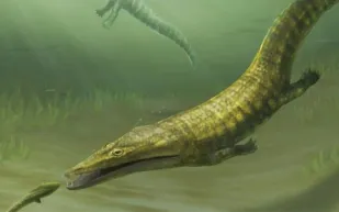 "وحوش البحار" تعود للواجهة.. اكتشاف مذهل لحفريات غامضة عمرها 250 مليون عام