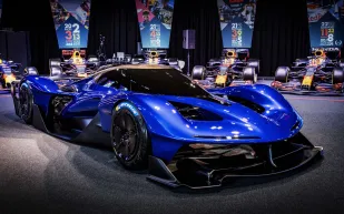 رد بول RB17 .. للحلبات حصرًا