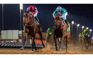 من المدرجات للأجنحة الملكية.. الدليل الكامل لأسعار تذاكر كأس السعودية (فيديو)