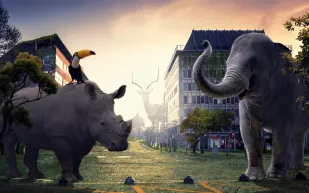 خطة احتياطية للحياة.. كيف سيُنقذ "BioVault" كوكب الأرض من كارثة الانقراض؟