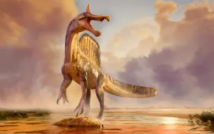 بسيف على رأسه.. سبينوصور أفريقي يغير تاريخ الديناصورات (فيديو)