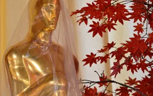 بقيمة 350 ألف دولار.. تعرف على محتويات حقيبة هدايا الأوسكار