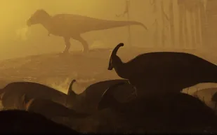 هل كان تي ريكس أضخم مما نتخيل؟ اكتشاف يعيد رسم صورة "ملك الديناصورات"