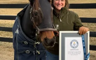 "فانسي" تدخل غينيس.. قصة صمود الفرس التي أصبحت أكبر حصان في العالم (فيديو)