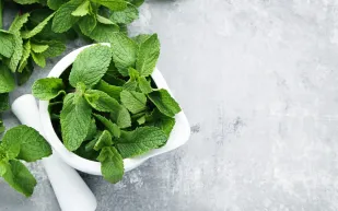 خديعة النعناع.. دراسة تكشف كيف "يغش" المنثول عقولنا لنشعر بالثلج؟