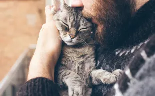 لماذا لا تساعد القطط أصحابها؟ دراسة تكشف السر